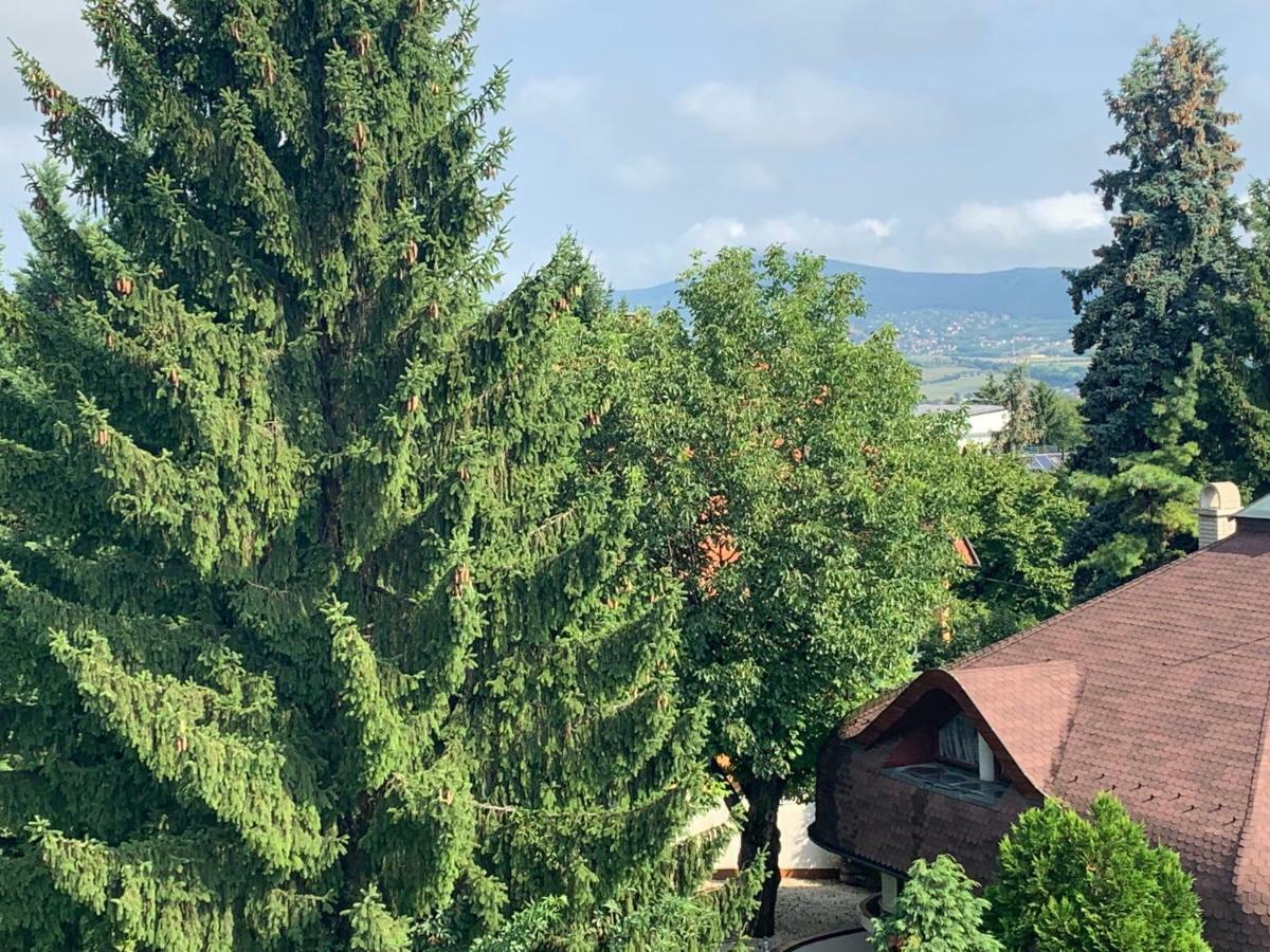 Maharaja Mountain Palace With Free Privat Parking And Garden Budapest Extérieur photo