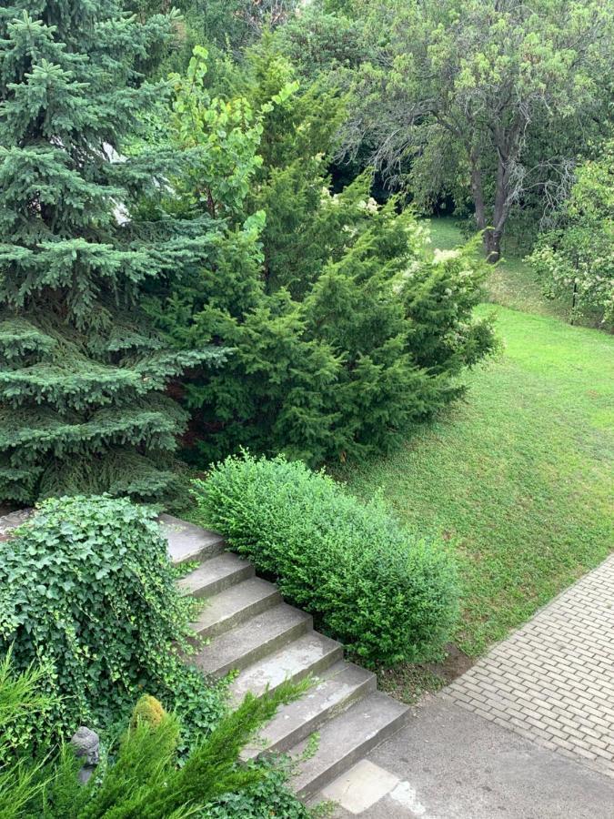 Maharaja Mountain Palace With Free Privat Parking And Garden Budapest Extérieur photo